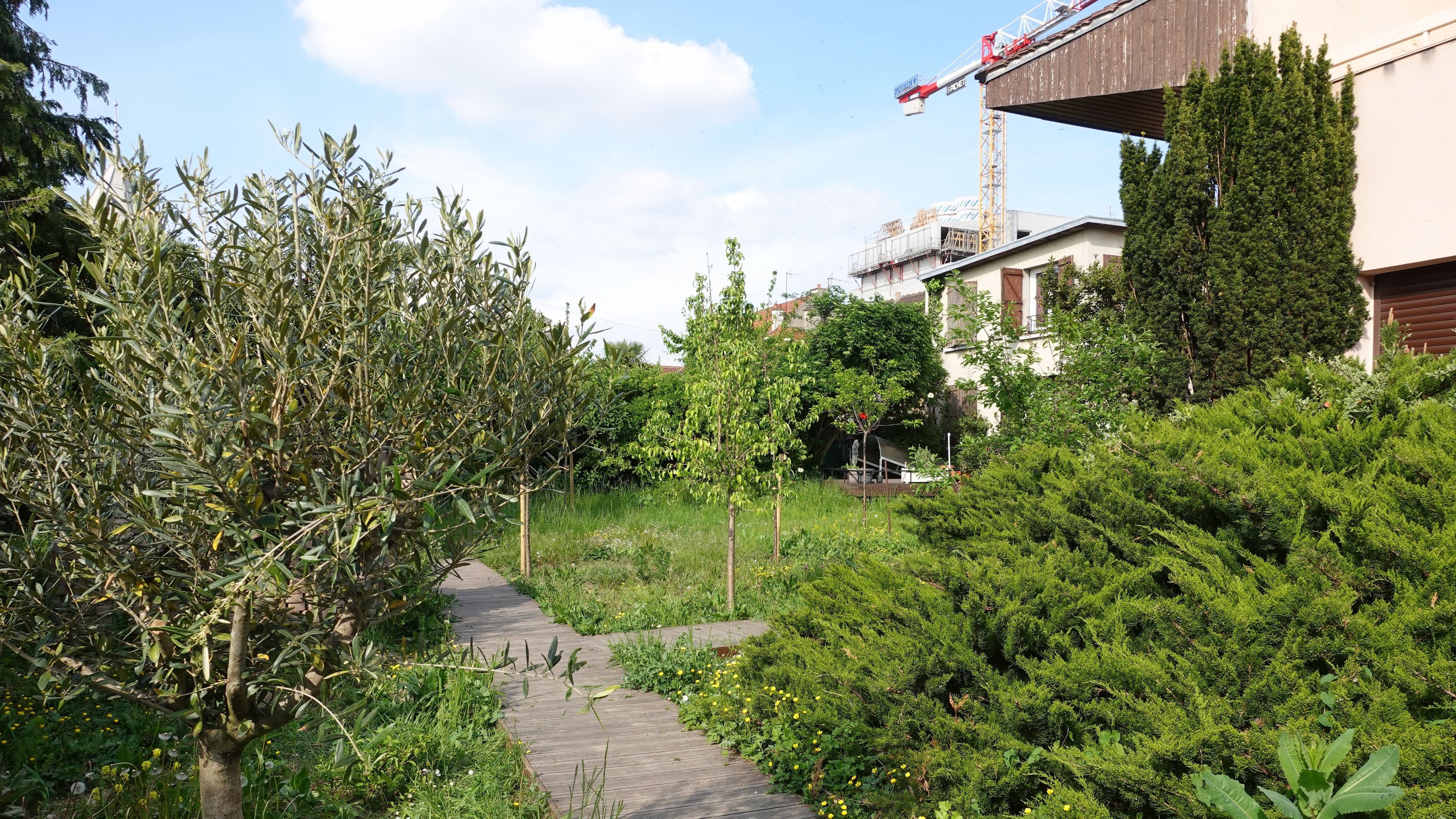Terrasse à renaturer après